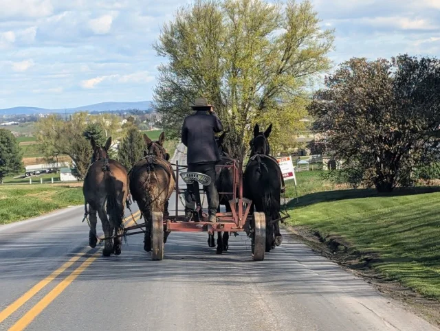 My view this morning. I'm having some fun!!!