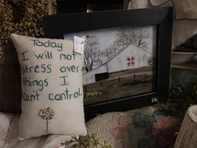 'Today I Will Not Stress' Pillow and Picture